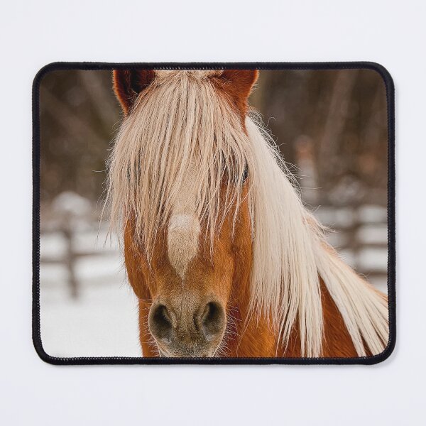 Item preview, Winter Horse designed and sold by Michael Cummings.