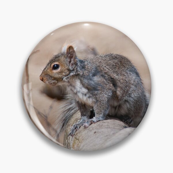 Item preview, Gray Squirrel designed and sold by Michael Cummings.