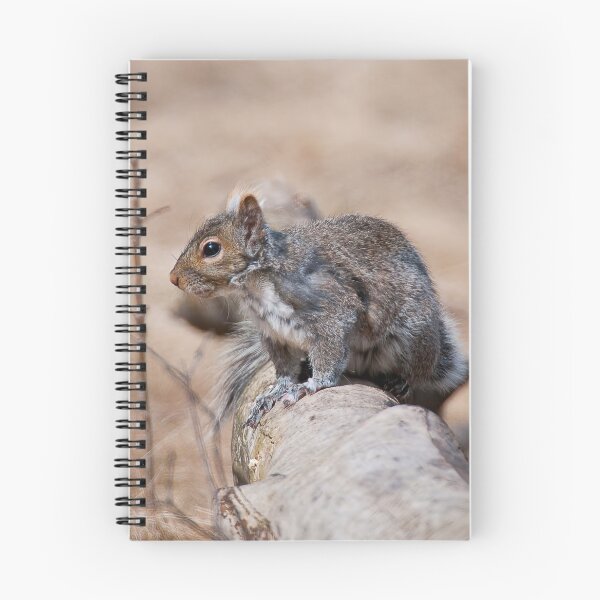 Item preview, Gray Squirrel designed and sold by Michael Cummings.