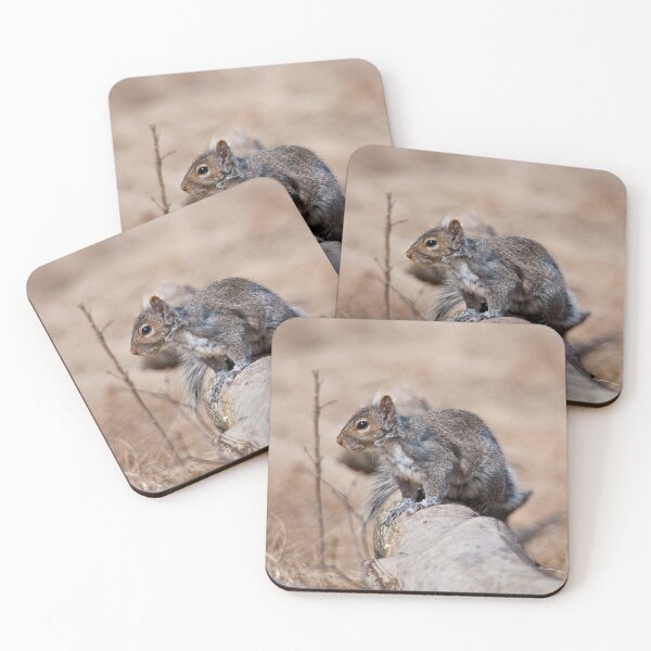 Item preview, Gray Squirrel designed and sold by Michael Cummings.