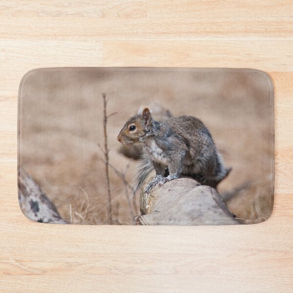 Item preview, Gray Squirrel designed and sold by Michael Cummings.