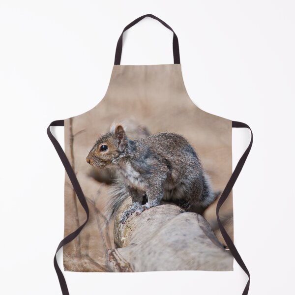 Item preview, Gray Squirrel designed and sold by Michael Cummings.