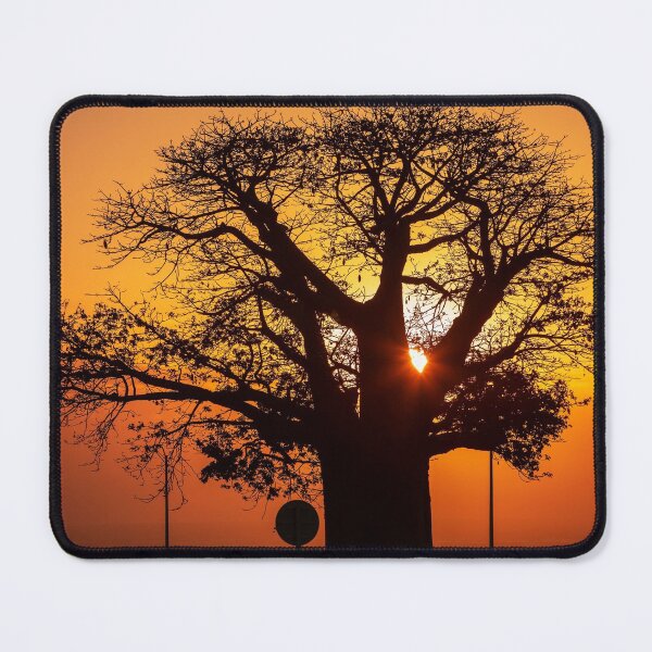 Item preview, Silhouette of baobab (Adansonia digitata) tree designed and sold by rajeshbac.