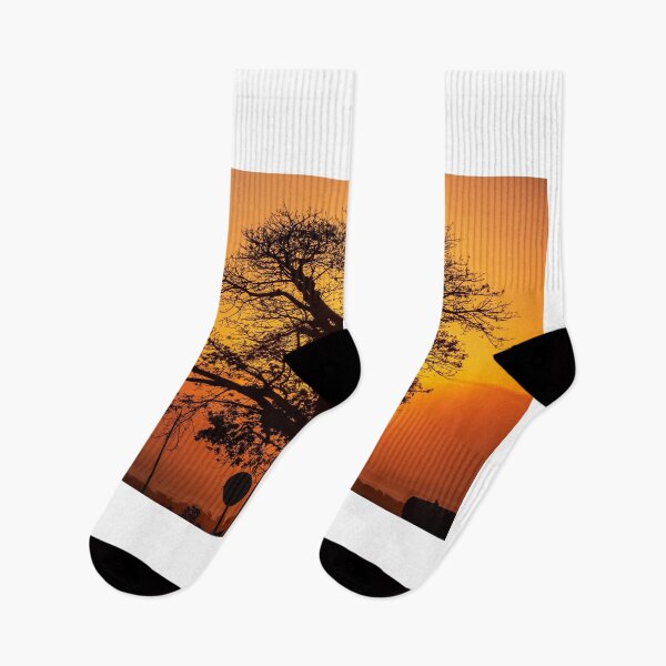 Item preview, Silhouette of baobab (Adansonia digitata) tree designed and sold by rajeshbac.