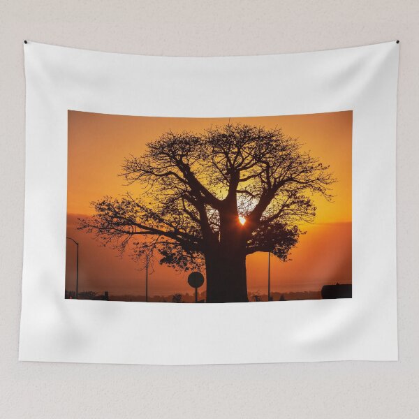 Item preview, Silhouette of baobab (Adansonia digitata) tree designed and sold by rajeshbac.