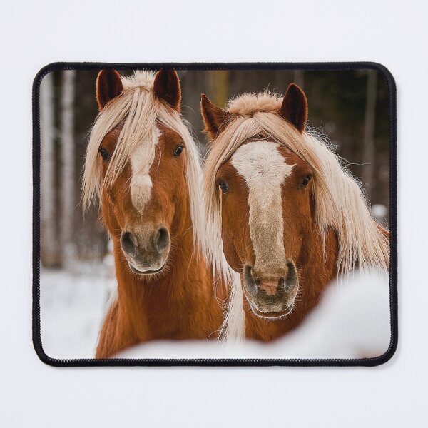 Item preview, Winter Watchers designed and sold by Michael Cummings.