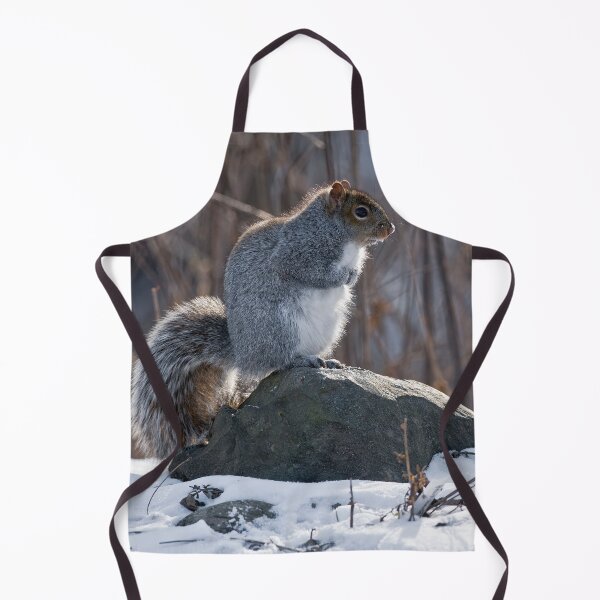 Item preview, Gray Squirrel designed and sold by Michael Cummings.