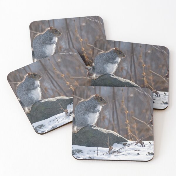 Item preview, Gray Squirrel designed and sold by Michael Cummings.