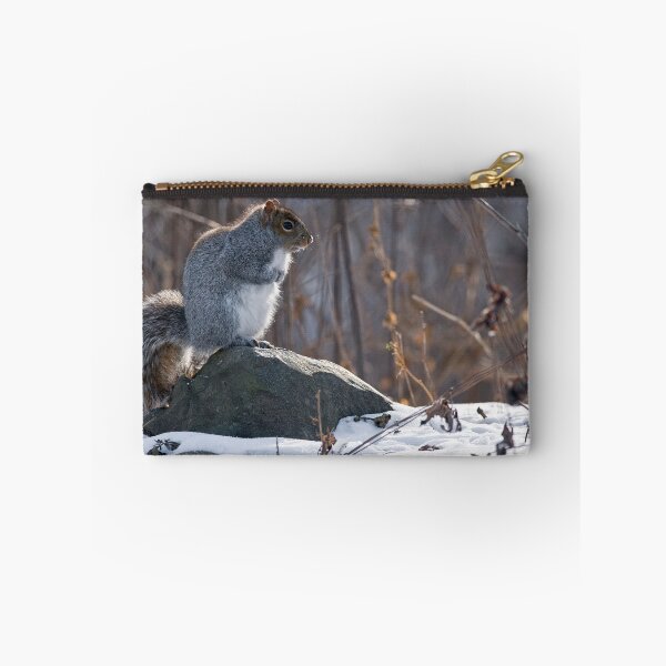 Item preview, Gray Squirrel designed and sold by Michael Cummings.