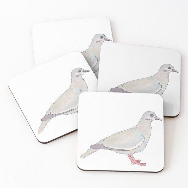 Aperçu de l'œuvre Art d'aquarelle d'espèces d'oiseau de colombe à ailes blanches créée et vendue par TheWaterBirds.