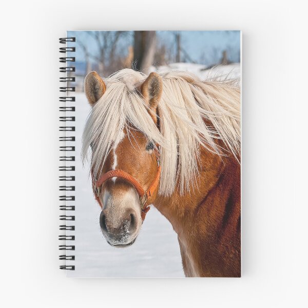 Artikelvorschau, Belgisches Pferd im Winter entworfen und verkauft von Michael Cummings.