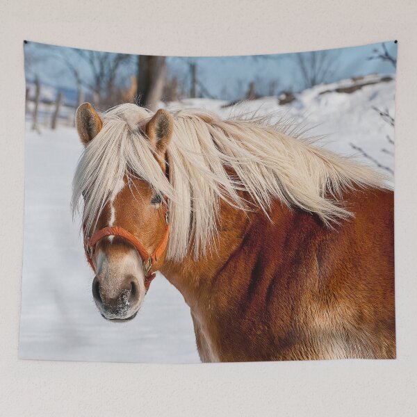 Item preview, Belgian Horse In Winter designed and sold by Michael Cummings.