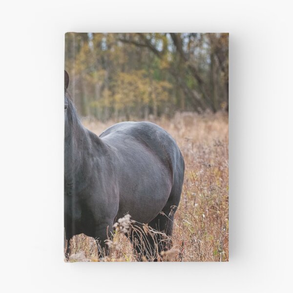 Item preview, Horse In Field designed and sold by Michael Cummings.