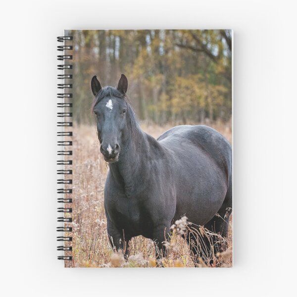 Item preview, Horse In Field designed and sold by Michael Cummings.