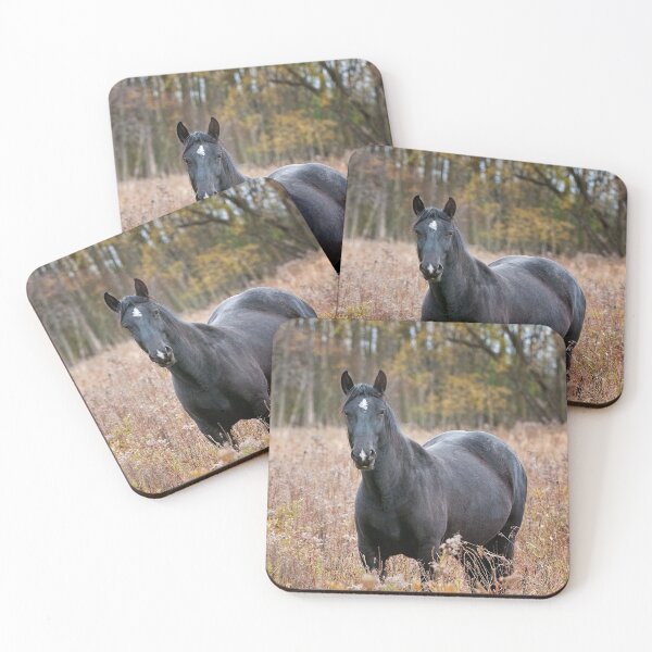 Item preview, Horse In Field designed and sold by Michael Cummings.