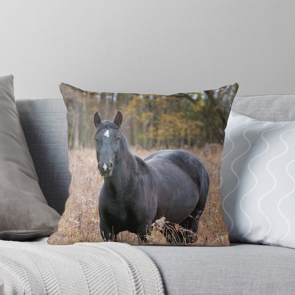Item preview, Throw Pillow designed and sold by jaydee1400.