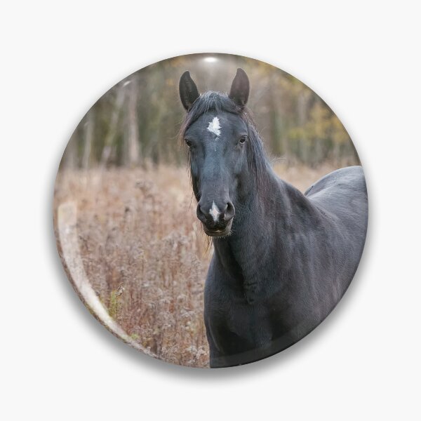 Item preview, Horse In Field designed and sold by Michael Cummings.
