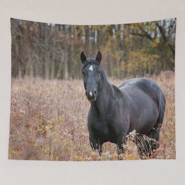 Item preview, Horse In Field designed and sold by Michael Cummings.