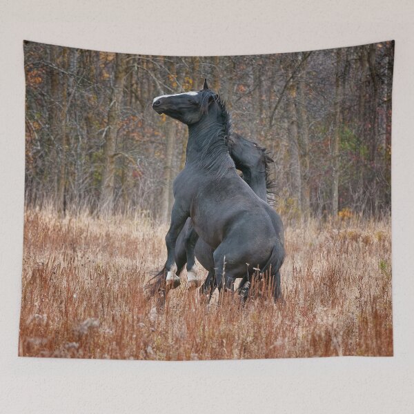Item preview, Horse In Field designed and sold by Michael Cummings.