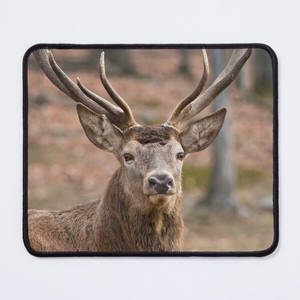 Item preview, Elk designed and sold by Michael Cummings.
