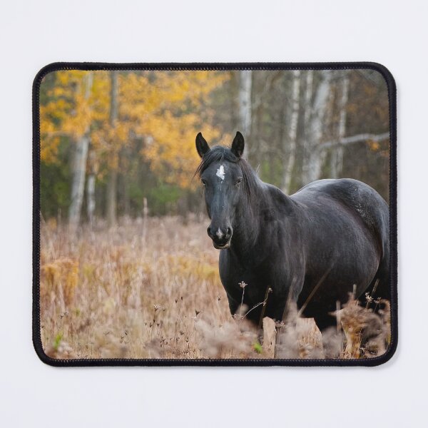 Item preview, Horse designed and sold by Michael Cummings.