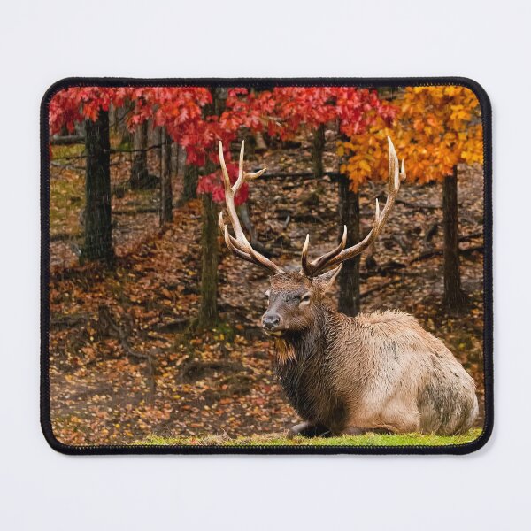 Item preview, Elk designed and sold by Michael Cummings.
