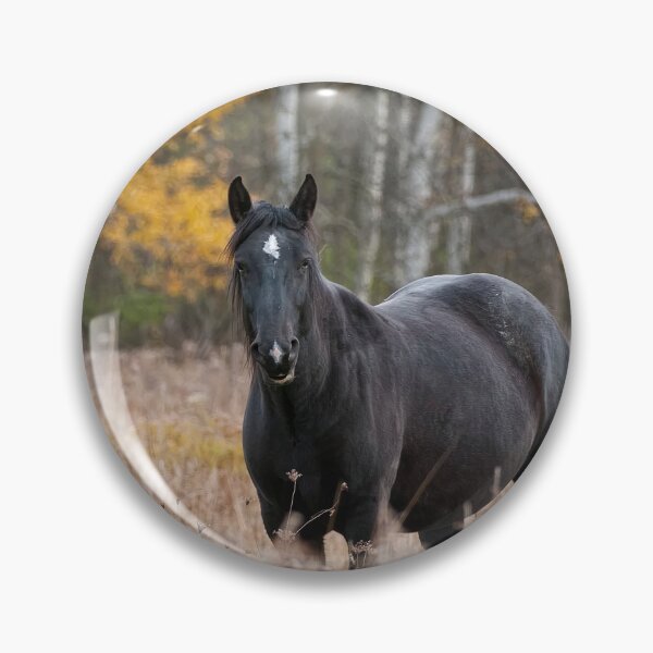 Item preview, Horse designed and sold by Michael Cummings.