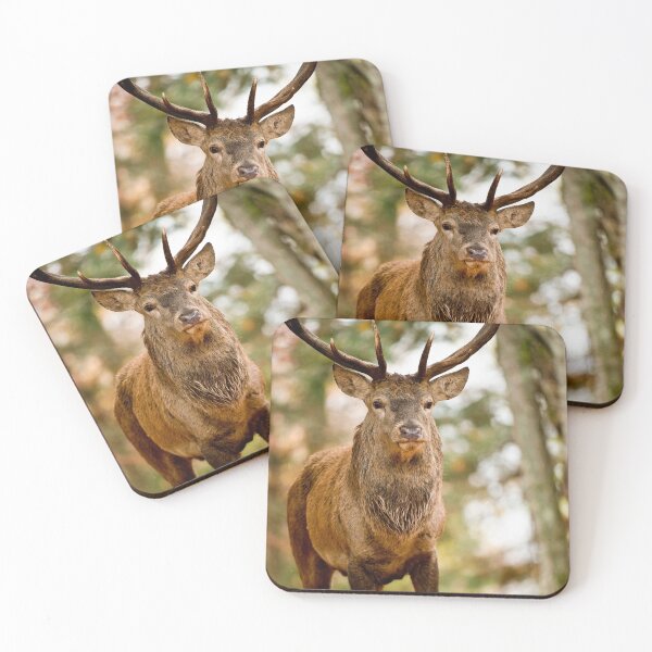 Item preview, Elk designed and sold by Michael Cummings.