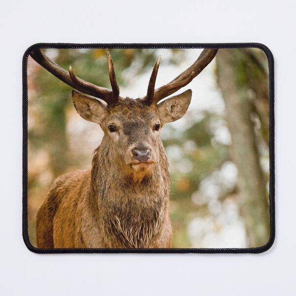 Item preview, Elk designed and sold by Michael Cummings.