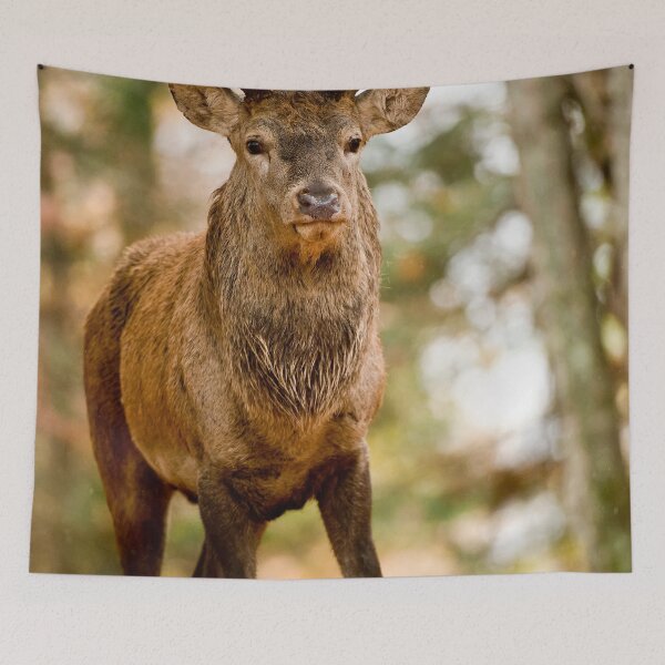 Item preview, Elk designed and sold by Michael Cummings.