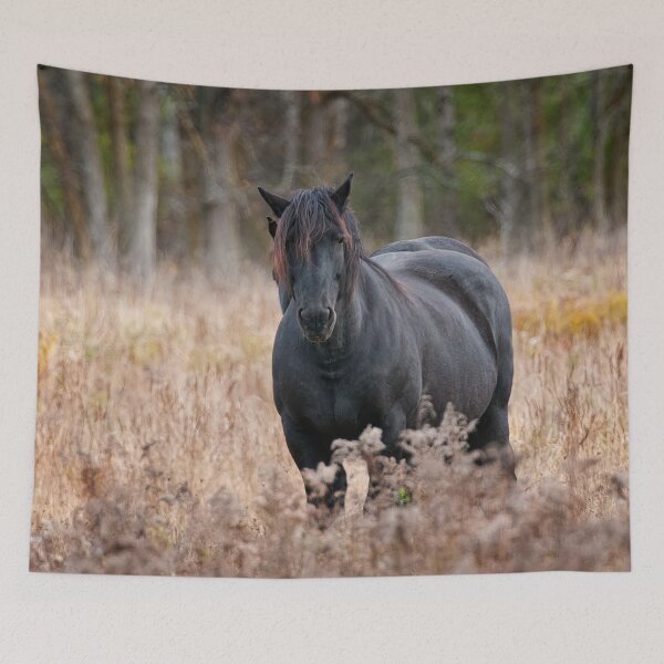 Item preview, Horse designed and sold by Michael Cummings.