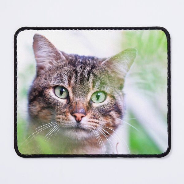 Item preview, Hiding tiger like cat in the garden says hey to you! designed and sold by urban-color.