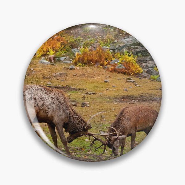 Item preview, Elks designed and sold by Michael Cummings.