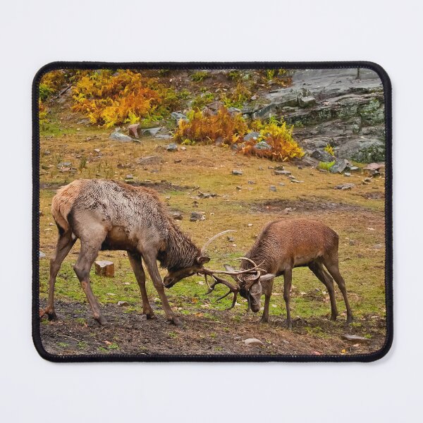 Item preview, Elks designed and sold by Michael Cummings.