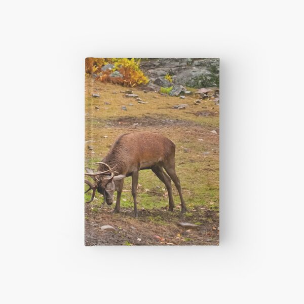 Item preview, Elks designed and sold by Michael Cummings.