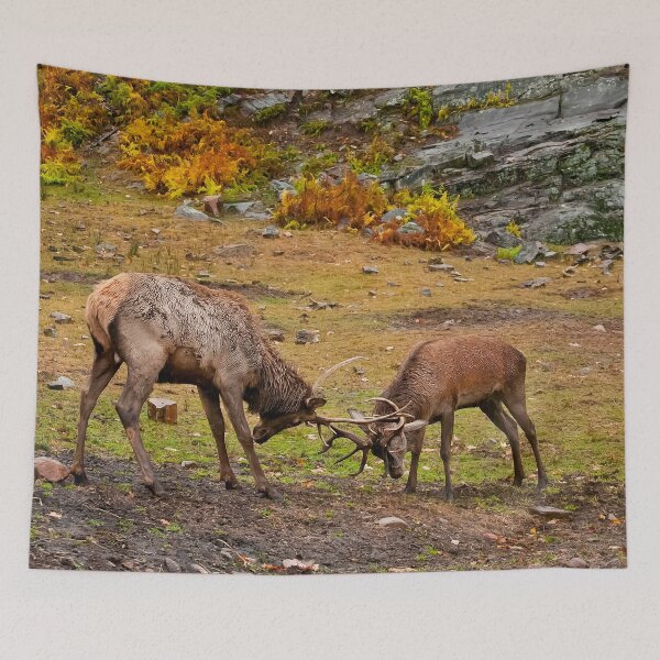 Item preview, Elks designed and sold by Michael Cummings.