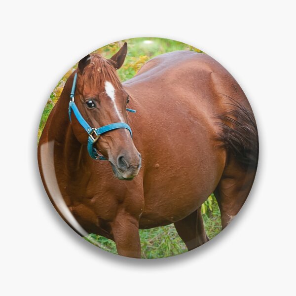 Item preview, Horse In Field designed and sold by Michael Cummings.