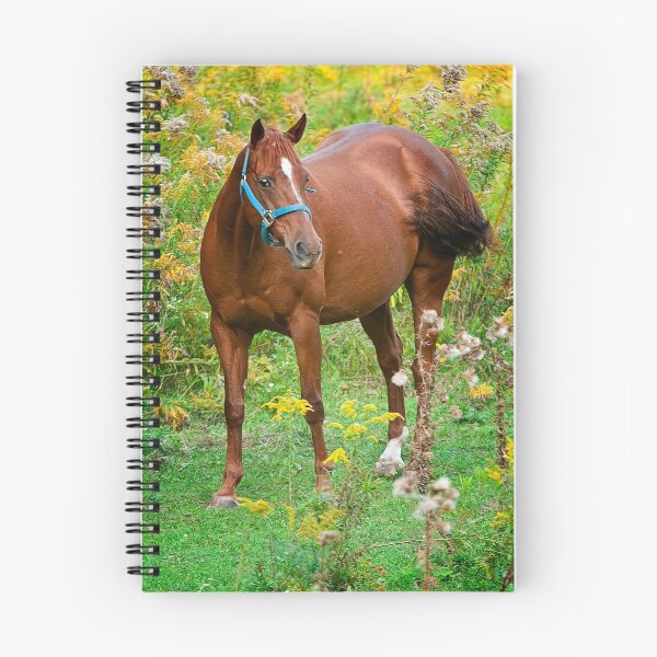 Artikelvorschau, Pferd im Feld entworfen und verkauft von Michael Cummings.
