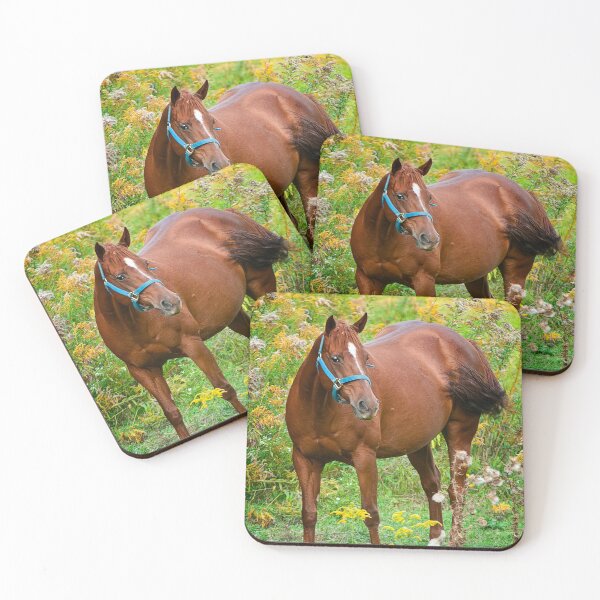 Item preview, Horse In Field designed and sold by Michael Cummings.