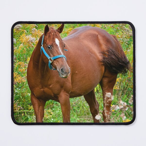 Item preview, Horse In Field designed and sold by Michael Cummings.