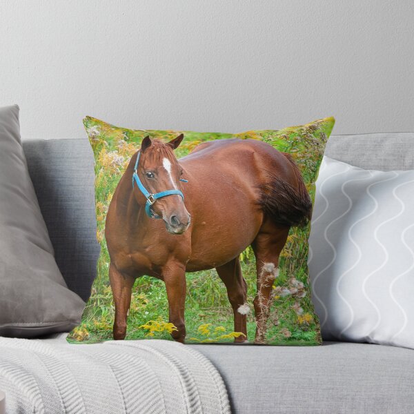 Item preview, Horse In Field designed and sold by Michael Cummings.