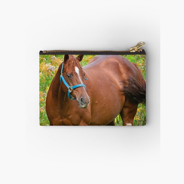 Item preview, Horse In Field designed and sold by Michael Cummings.