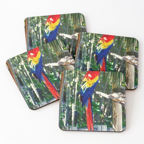 Item preview, parrots designed and sold by Tipon.