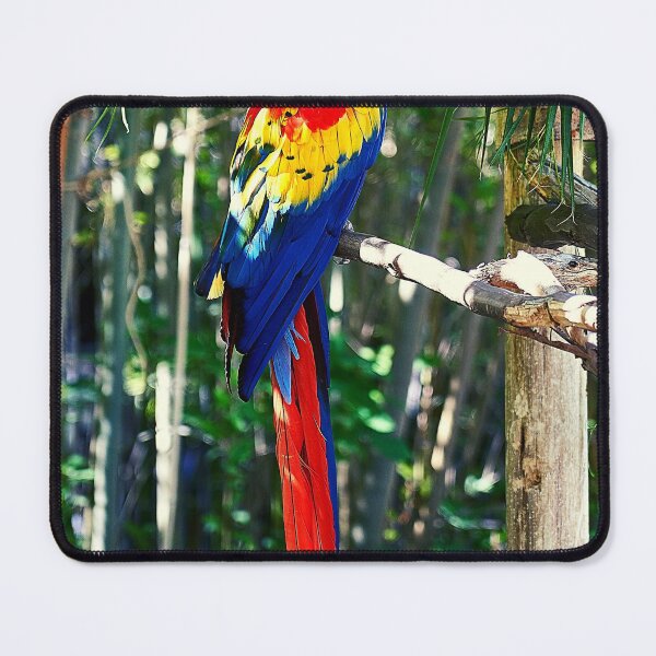 Item preview, parrots designed and sold by Tipon.