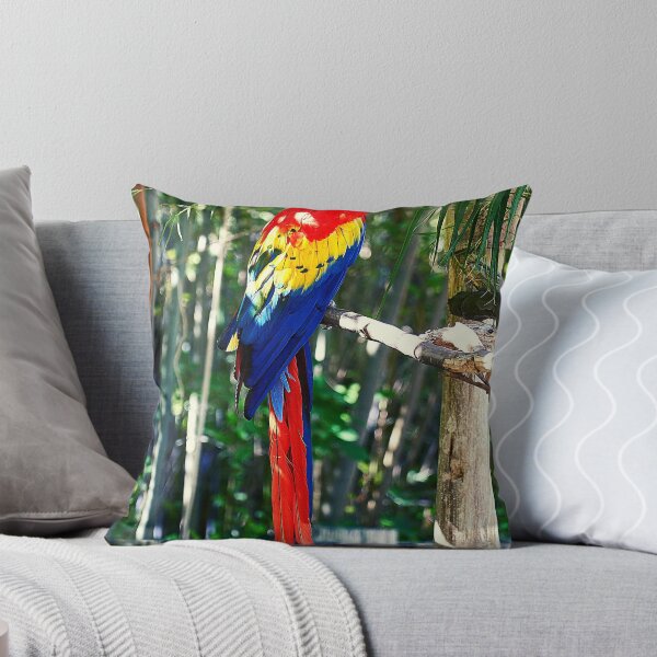 Item preview, parrots designed and sold by Tipon.