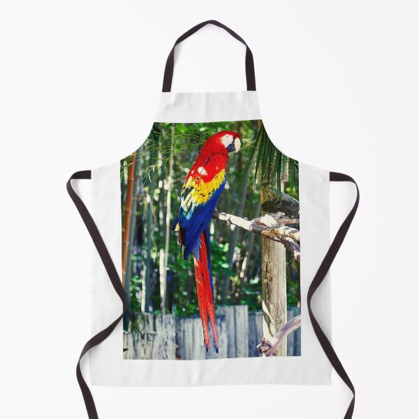 Item preview, parrots designed and sold by Tipon.
