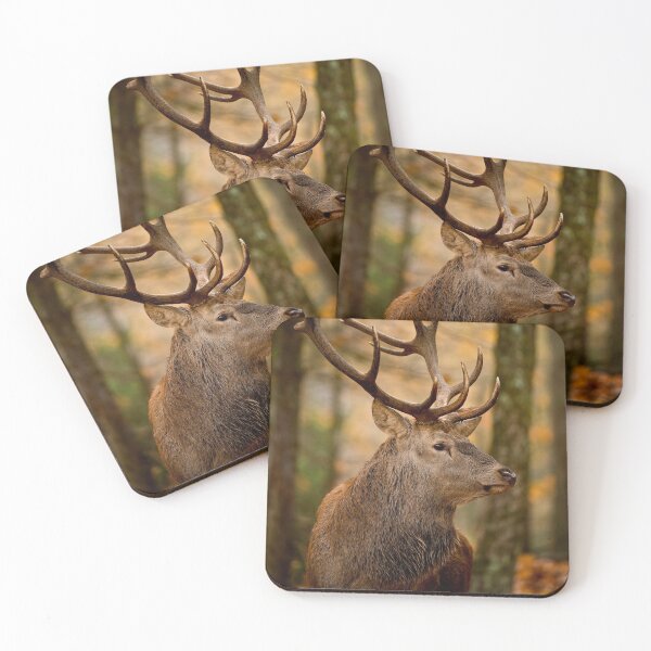 Item preview, Bull Elk designed and sold by Michael Cummings.