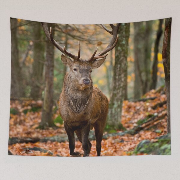 Item preview, Elk designed and sold by Michael Cummings.