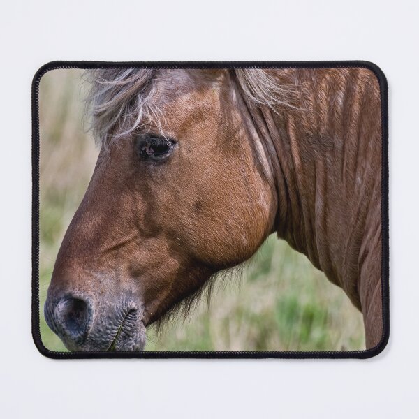Item preview, Horse designed and sold by Michael Cummings.