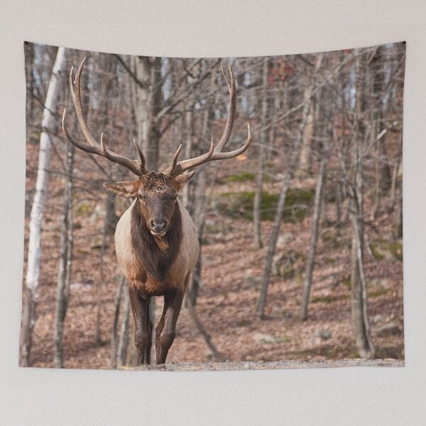 Item preview, Elk designed and sold by Michael Cummings.